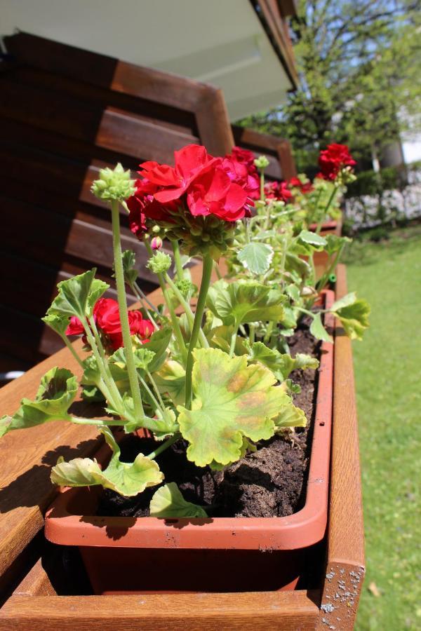 Appartement-Hotel Happy Kienberg Pfronten Zewnętrze zdjęcie